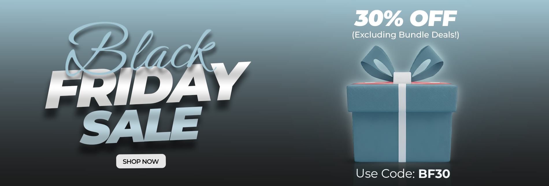 Black Friday Sale
